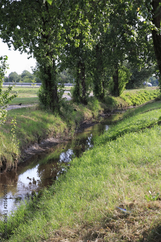 Ooser Landgraben, Fluß durch Sandweier, Ortsteil von Baden-Baden, mit  Allee, Niedrig Wasser und ausgedrocknetem Flußßbett Stock Photo | Adobe  Stock