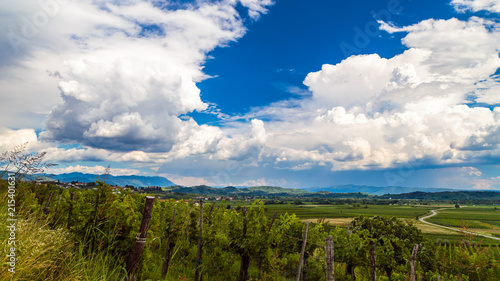 Stormy day in the vineyards of Brda, Slovenia