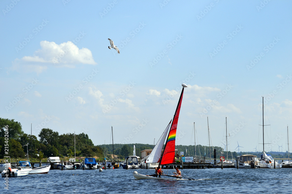 Fototapeta premium Segeln im Salzhaff
