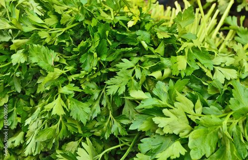 A lot fresh of Parsley in then market with full frame.