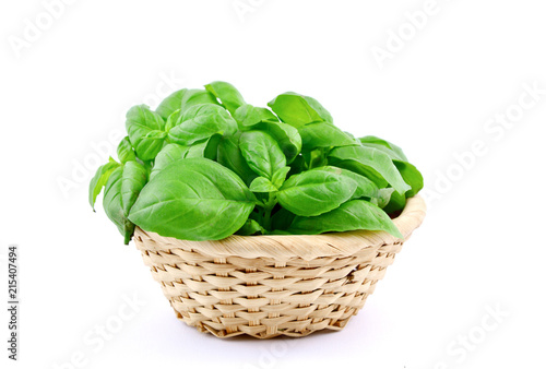 Fresh Sweet basil in basket with white background.