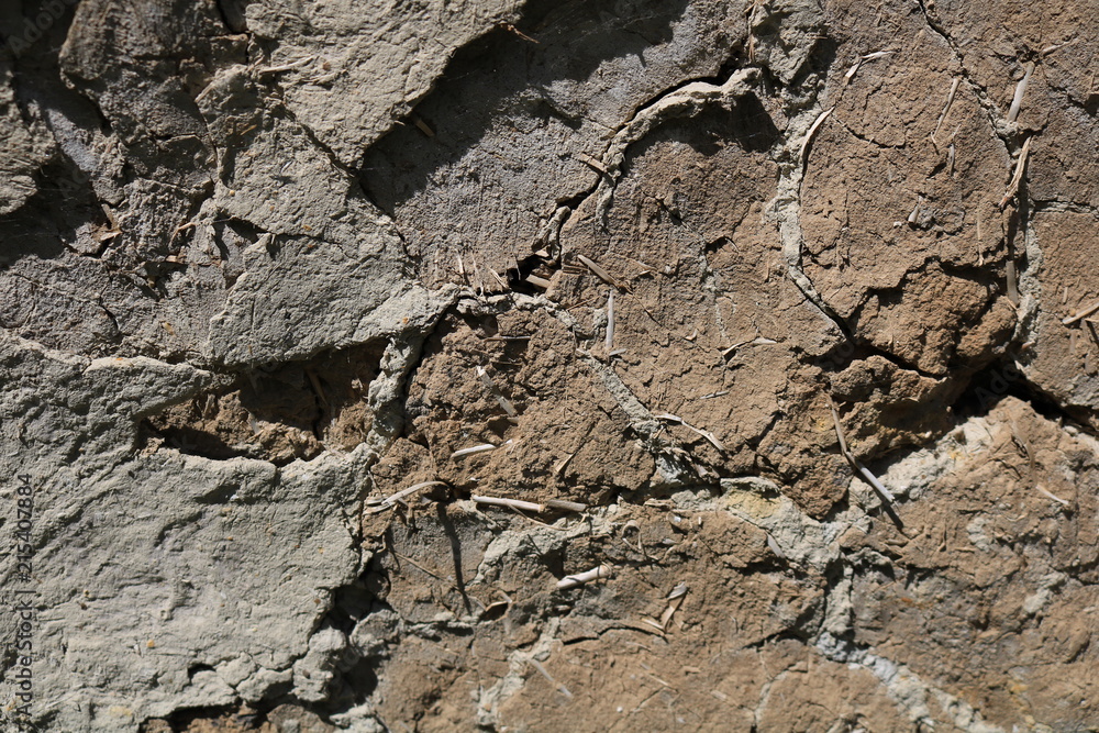 Texture of the old wall of an abandoned house at sunset.