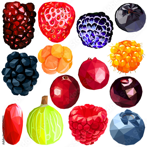 Exotic berries set colorful low poly designs isolated on white background. Vector edible food illustration. Collection of realistic tropical plants in modern style. Organic raw rare wild fruits. 
