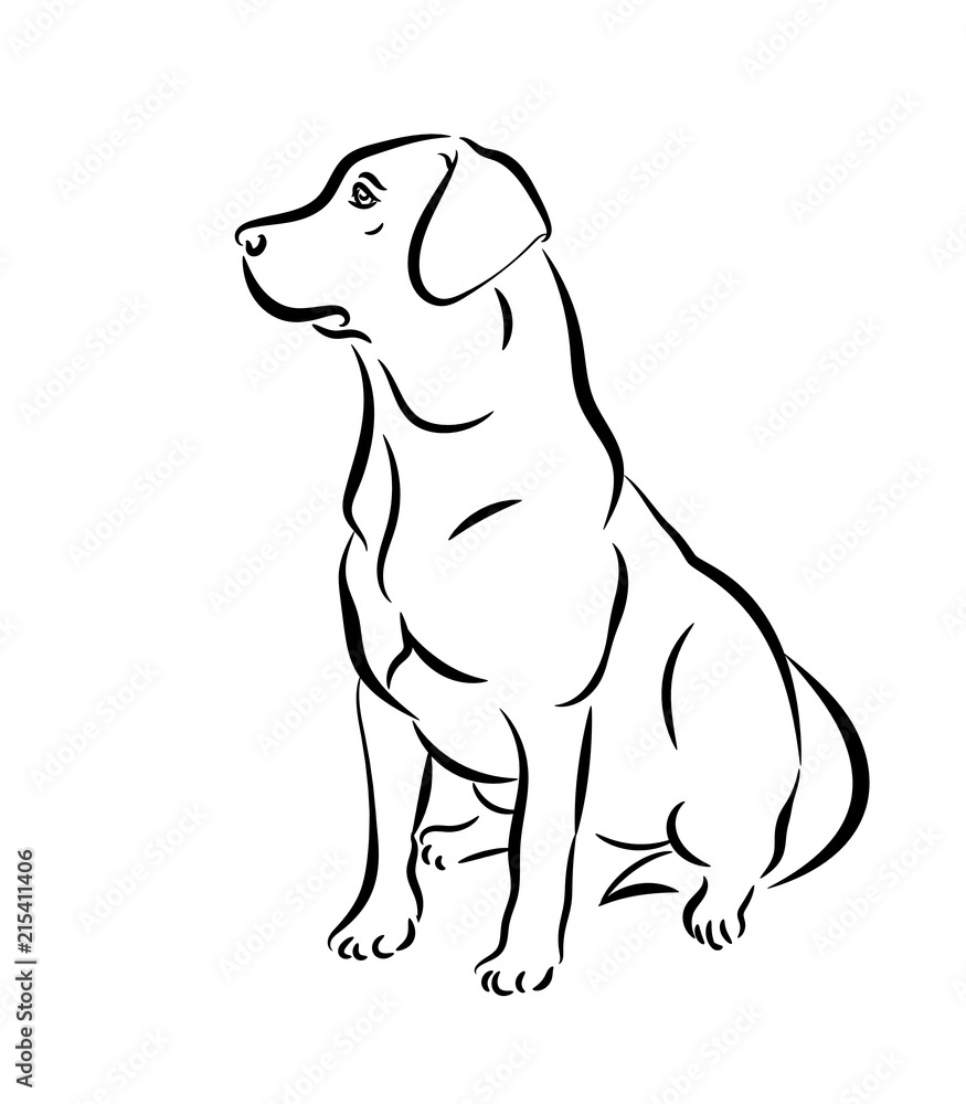 Labrador vector illustration. Black and white outline of a sitting dog isolated on a white background.