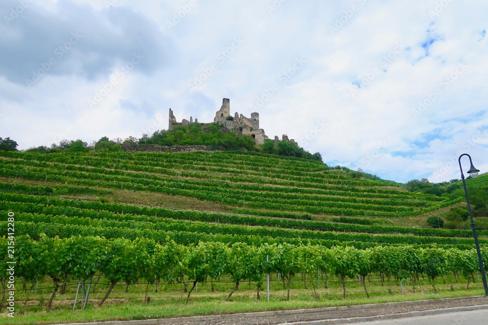 Old castle ruins among green vineyards in Austria