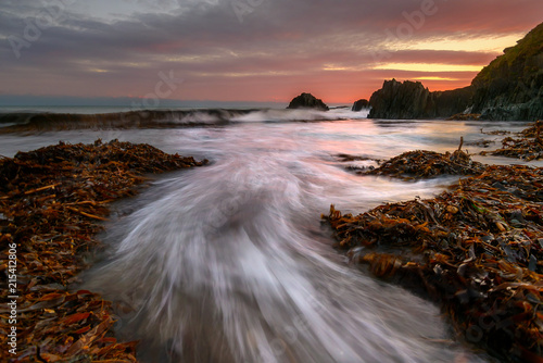 Seaweed and sunsets at Sheeps cove, West Cork photo