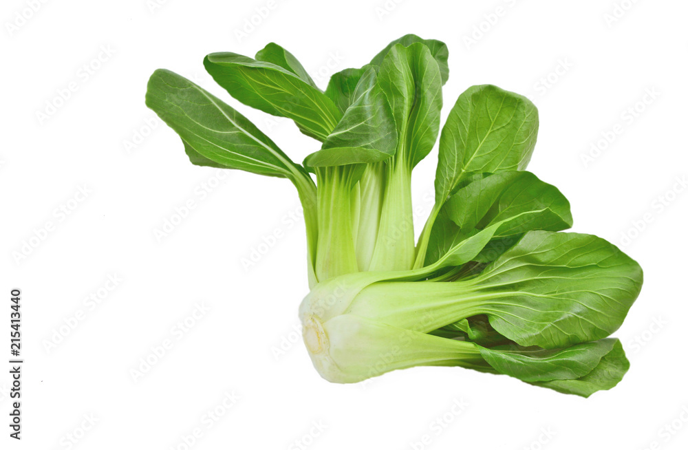 Fresh Bok choy or pak choi on white background. Fresh Bok choy or pak choi on white background.