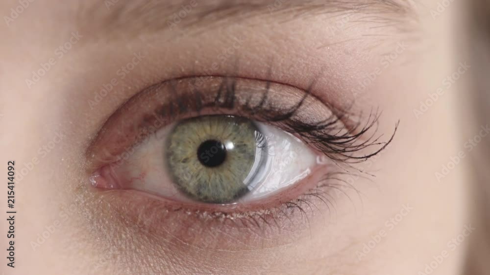young woman blue eye opening wearing makeup feminine beauty macro close up young woman blue eye opening wearing makeup feminine beauty macro close up