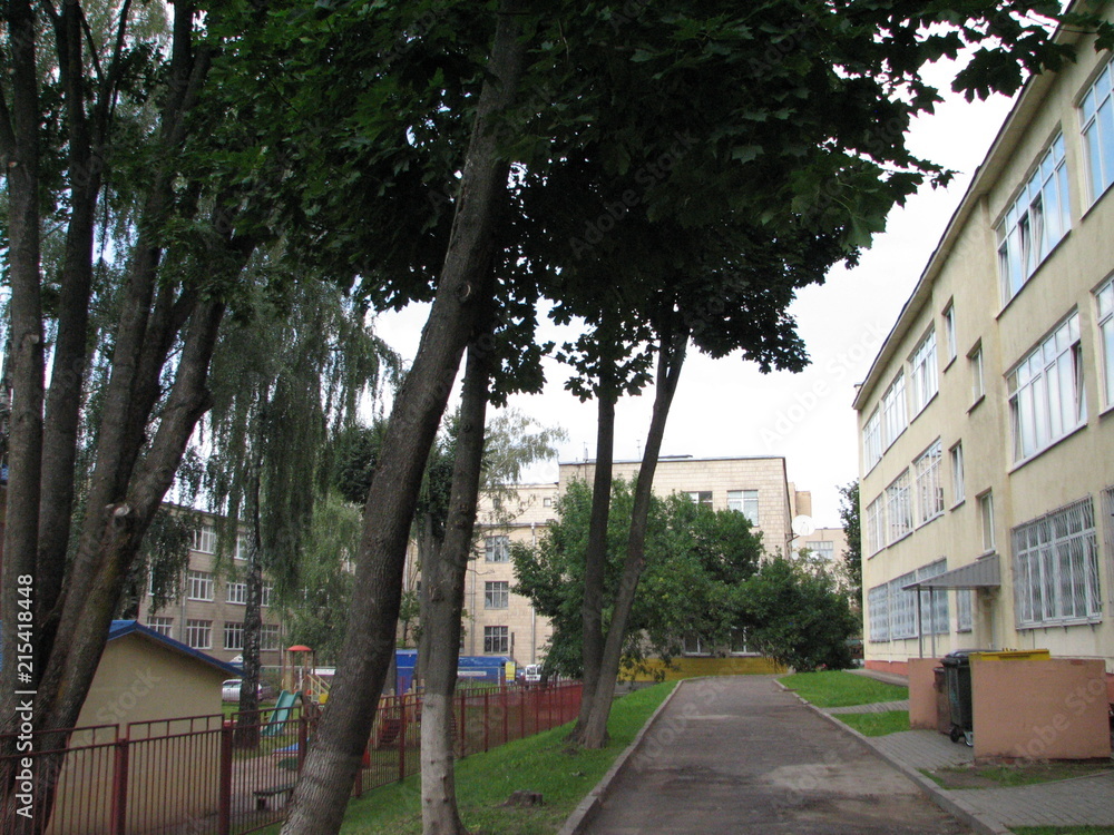 Naklejka premium park