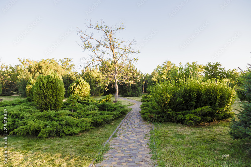 The Stone block walk path in the park with green grass background.