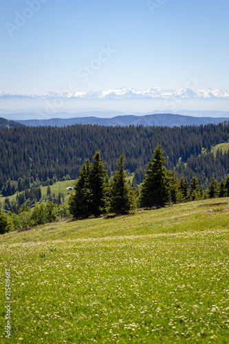 Feldberg Ausblick Panorama