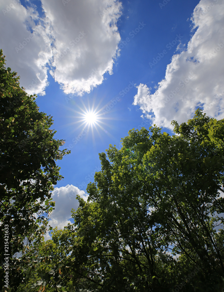 Weißblauer Sommerhimmel Weißblauer Sommerhimmel