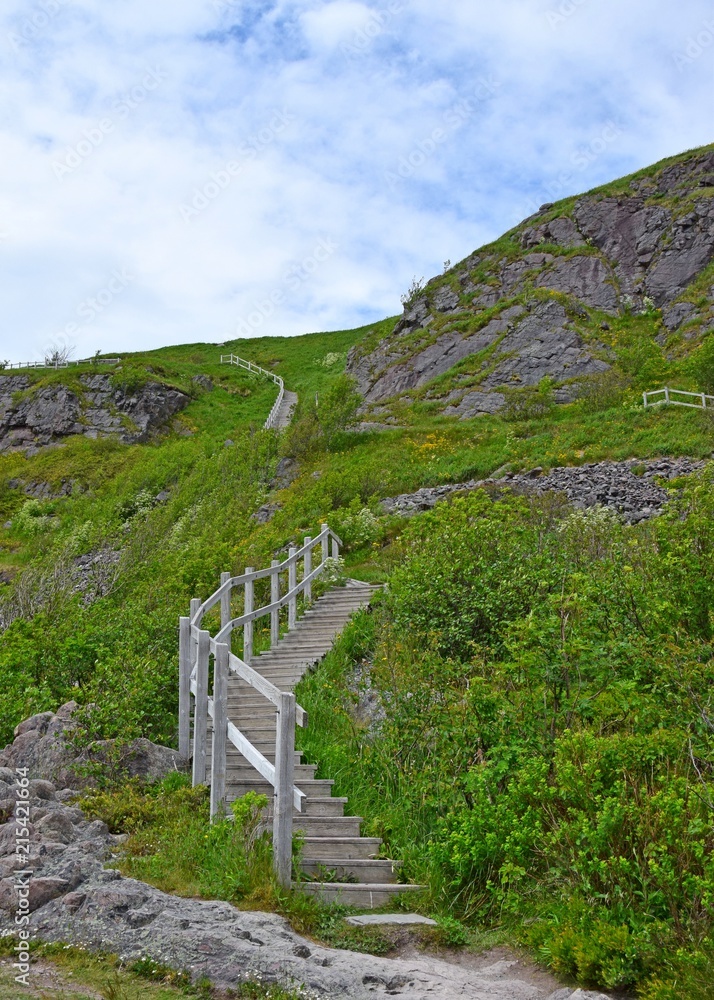 steep outdoor staircase surrounded by a lush green grass and Spring flowers, at Signal Hill St John's Newfoundland Canada