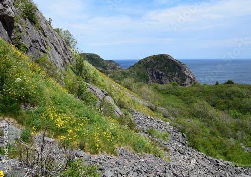  looking past the lush green hills towards the Atlantic ocean, at Signal Hill St John's Newfoundland Canada