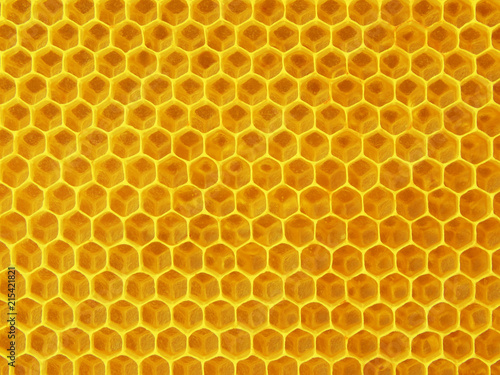 yellow bee cells with honey, healthy food. background