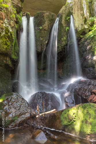 Fototapeta Naklejka Na Ścianę i Meble -  Menzenschwander Wasserfälle