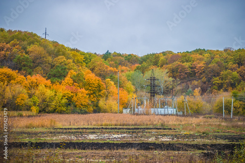 electric pole near the autumn forest