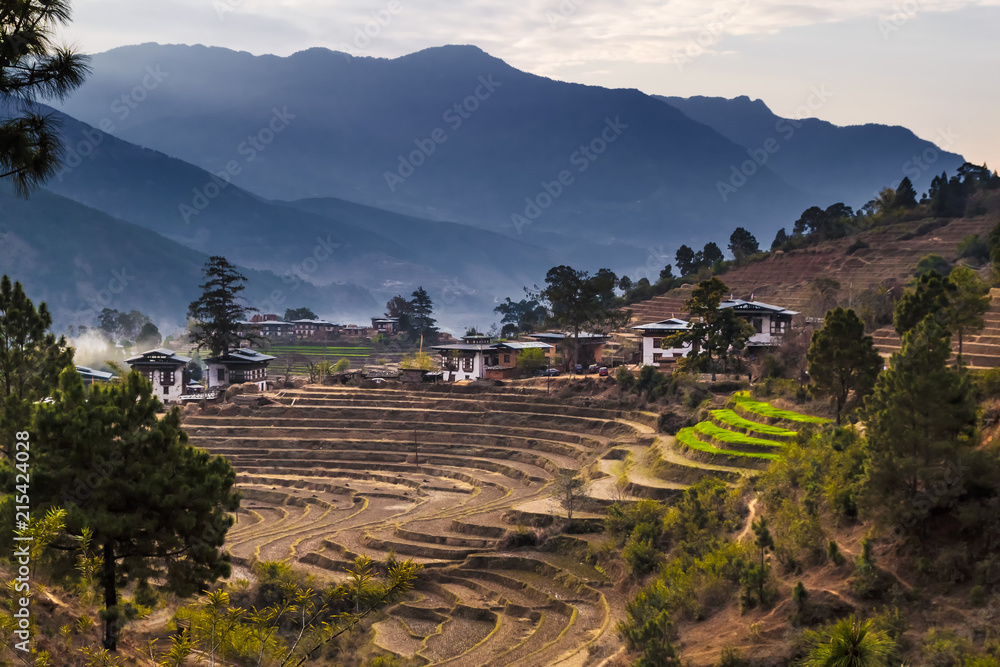 Terraced rice field with rural houses in Bhutan. Bhutan is a small country in the Himalayas between the Tibet Autonomous Region of China and India.