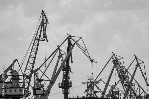 Many port industrial cranes, black and white photo