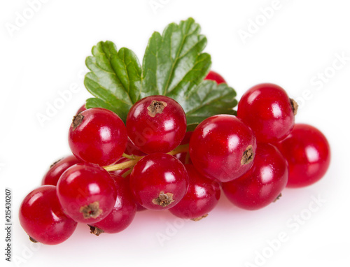 Red currant on white background