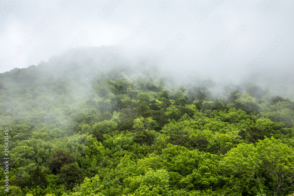 Fog in the mountains.Mystical landscape.The green tops of the hills are covered with thick fog. The sky is hidden behind the clouds. Fog in the mountains.Mystical landscape.The green tops of the hills are covered with thick fog. The sky is hidden behind the clouds.