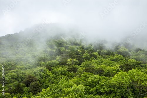 Fog in the mountains.Mystical landscape.The green tops of the hills are covered with thick fog. The sky is hidden behind the clouds.