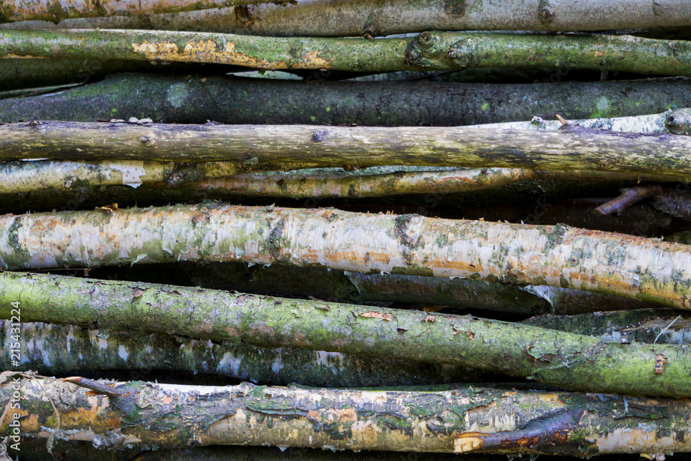 spilled pine logs are stacked on top of each other, in stacks, destruction of the forest, felling of trees, background of wood