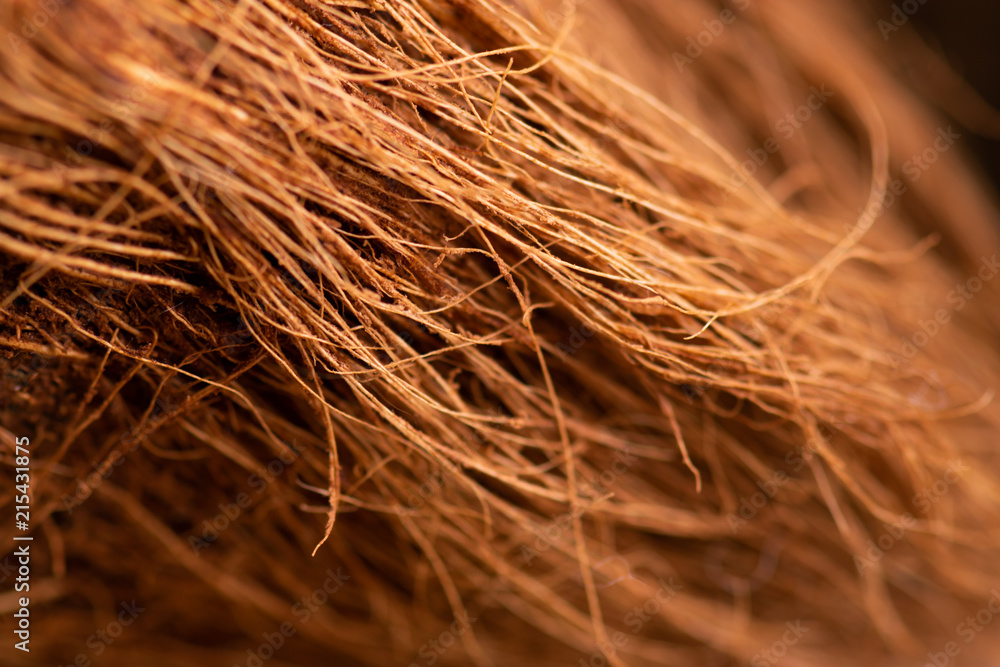 coconut, background, brown, horizontal, strip coconut, background, brown, horizontal, strip