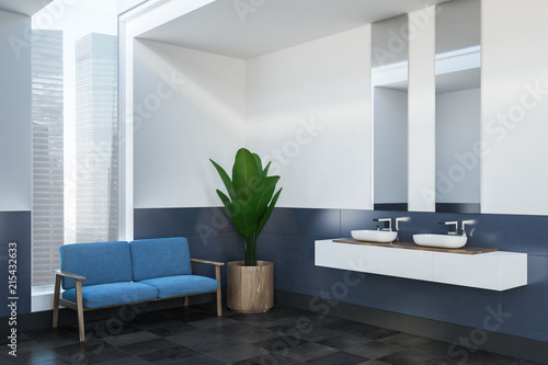 Blue sofa bathroom interior  double sink