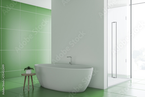 Green bathroom inteiror, tub and shower