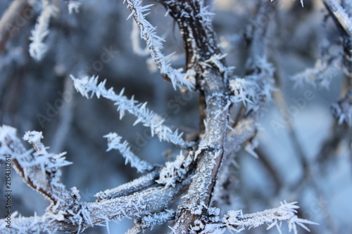 frost time © Cregg