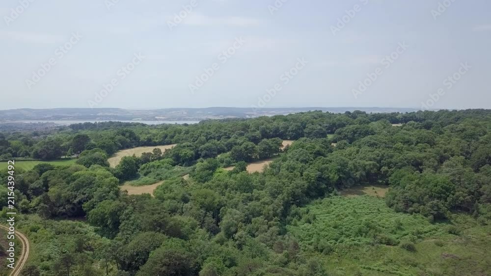 Aerial fly over of Devon woodlands along the UK Jurassic Coast Aerial fly over of Devon woodlands along the UK Jurassic Coast