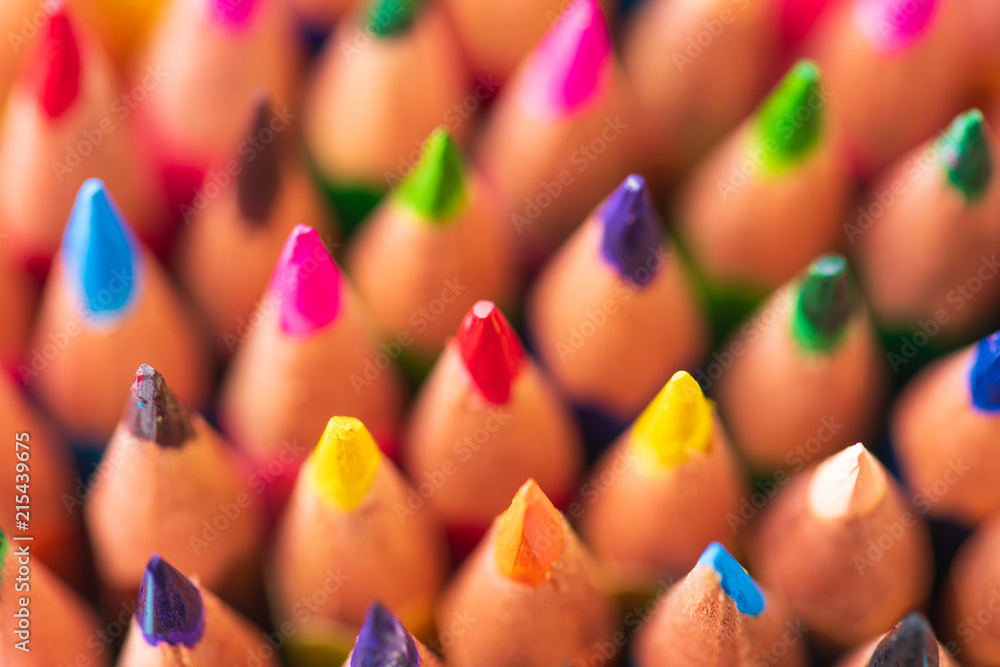 Education or back to school Concept. Close up macro shot of color pencil pile pencil nibs on white background. Education or back to school Concept. Close up macro shot of color pencil pile pencil nibs on white background.