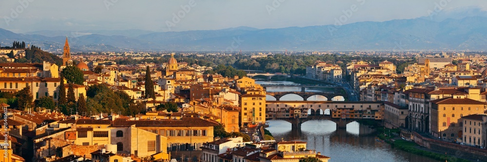 Florence skyline panorama view