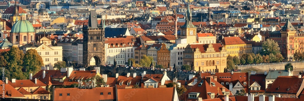 Prague skyline rooftop view panorama