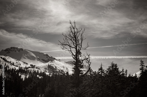 Chemtrails over Mammoth