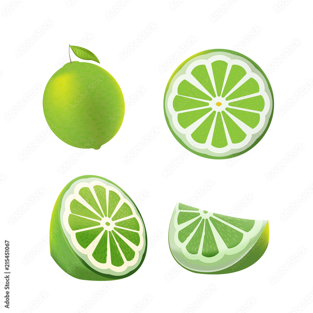 Lemon Green Fruit Isolated Set Vector Lemon Green Fruit Isolated Set Vector