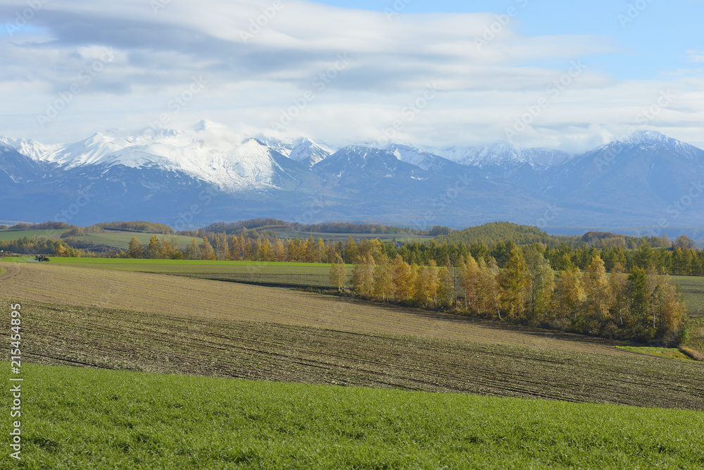 秋の美瑛 Stock Photo Adobe Stock