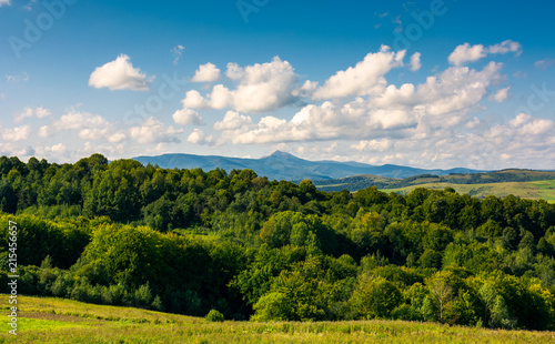 beautiful summer landscape. mountain ridge with high peak behind the forest. lovely sky with clouds