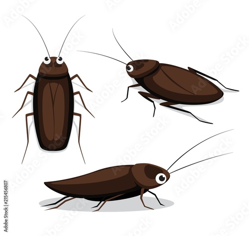 Cute Cockroach Poses Cartoon Vector Illustration