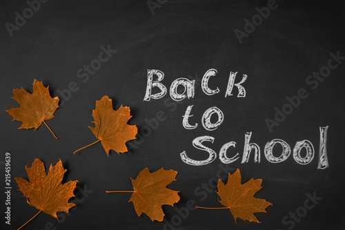 Back to school. Drawing chalk on a blackboard Autumn leaves