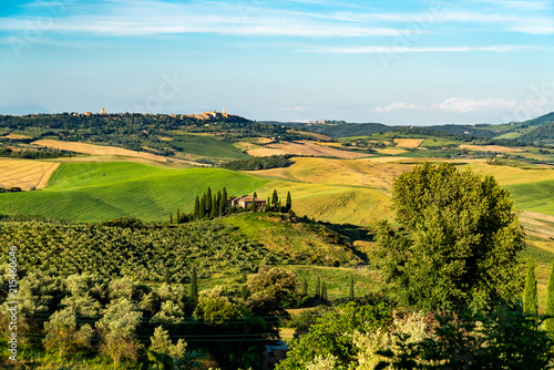 Beautiful landscape of green hilly Tuscan Field
