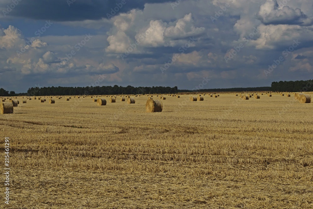 Fototapeta premium Strohballen auf einem Feld nach der Getreideernte