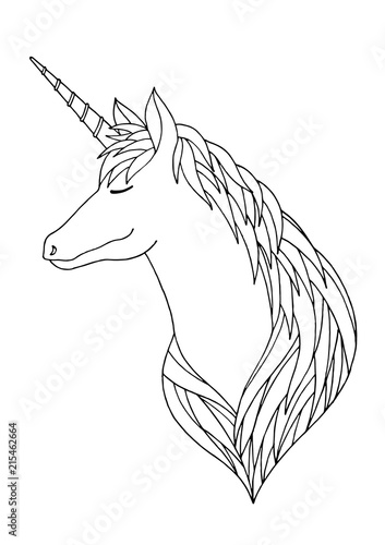 unicorn hand drawing sketck doodle fantasy illustration design photo