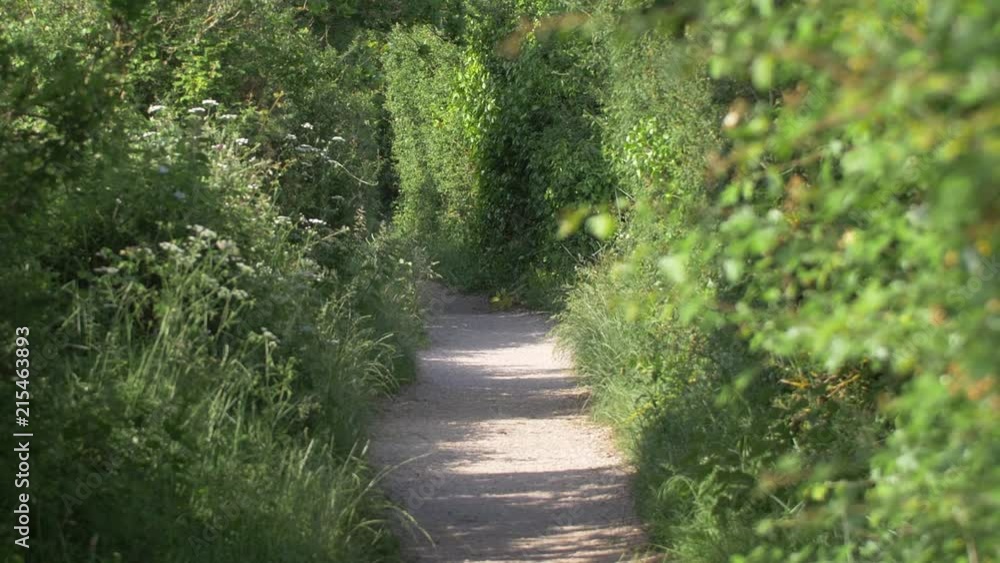 Static shot of a country path with greenery either side of a dirt track. Static shot of a country path with greenery either side of a dirt track.