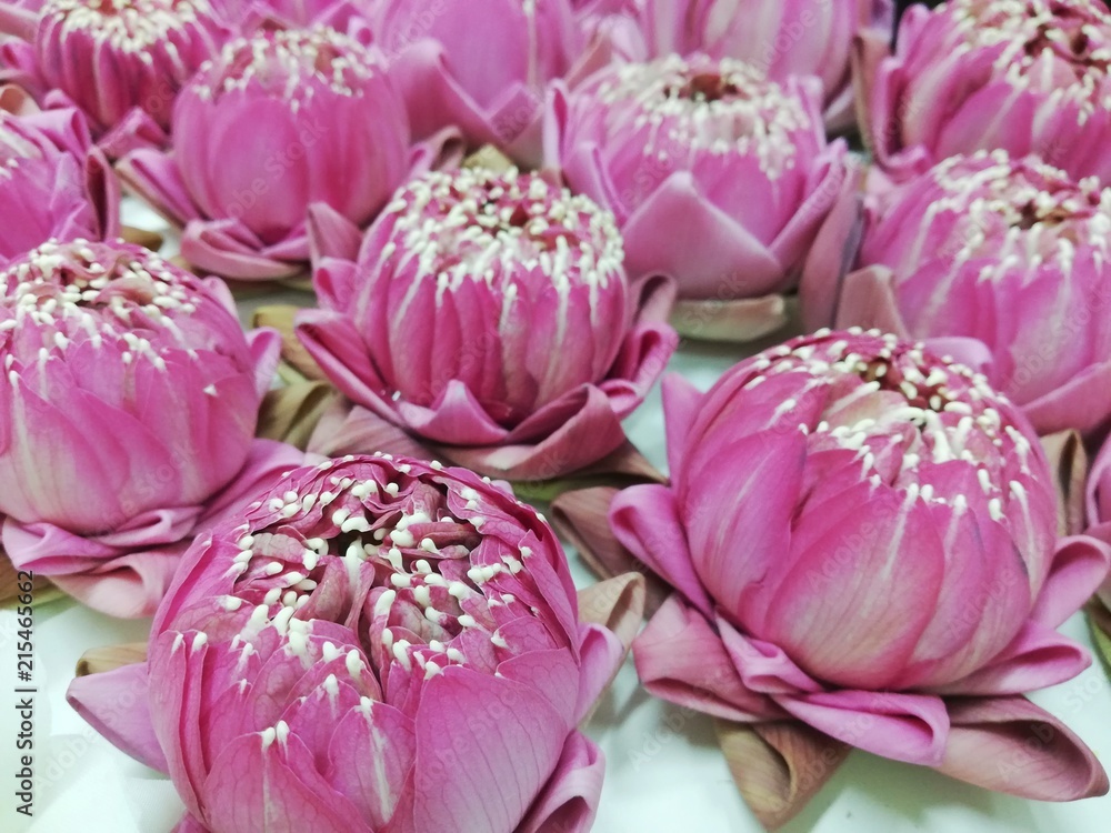 The pink lotus is placed on the altar dedicated to the pious day of Buddhism. The pink lotus is placed on the altar dedicated to the pious day of Buddhism.