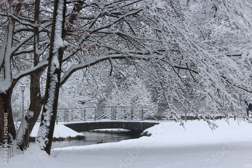 Winter in the english garden, munich germany