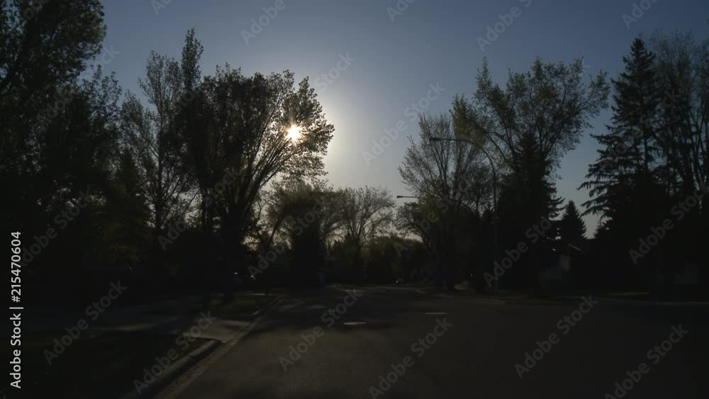 Early morning sun sits behind a tree above quiet city street. Early morning sun sits behind a tree above quiet city street.