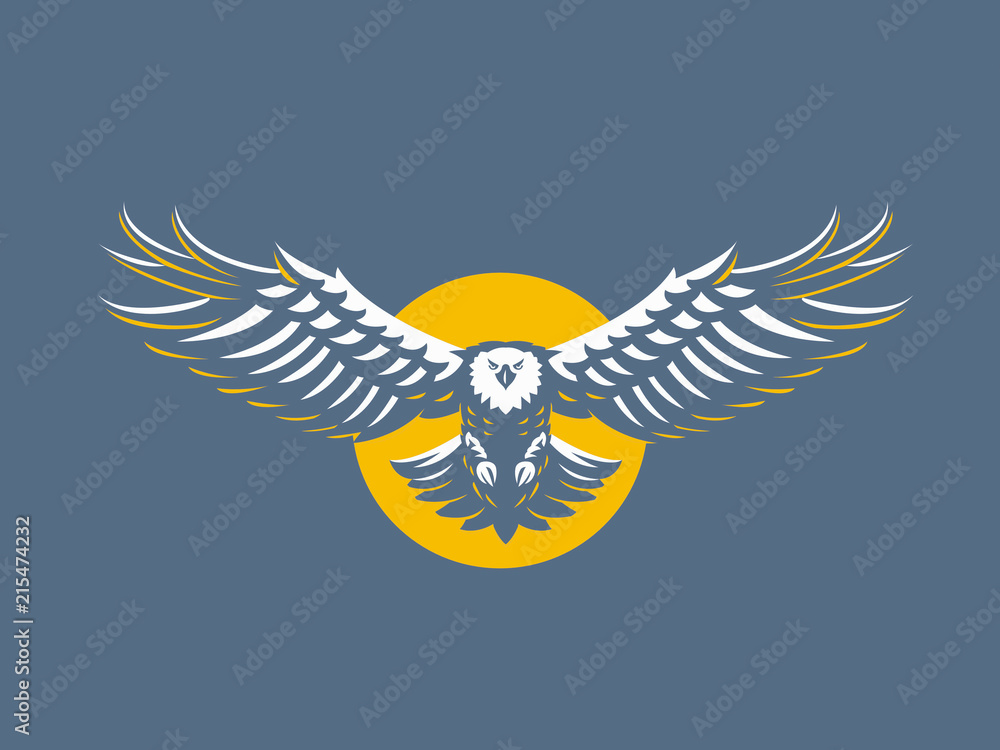 Obraz premium The flying eagle. 