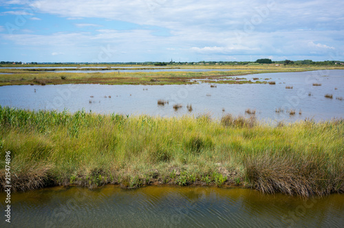 View of Marais d'Olonne - Olonne swamp in Vendée France